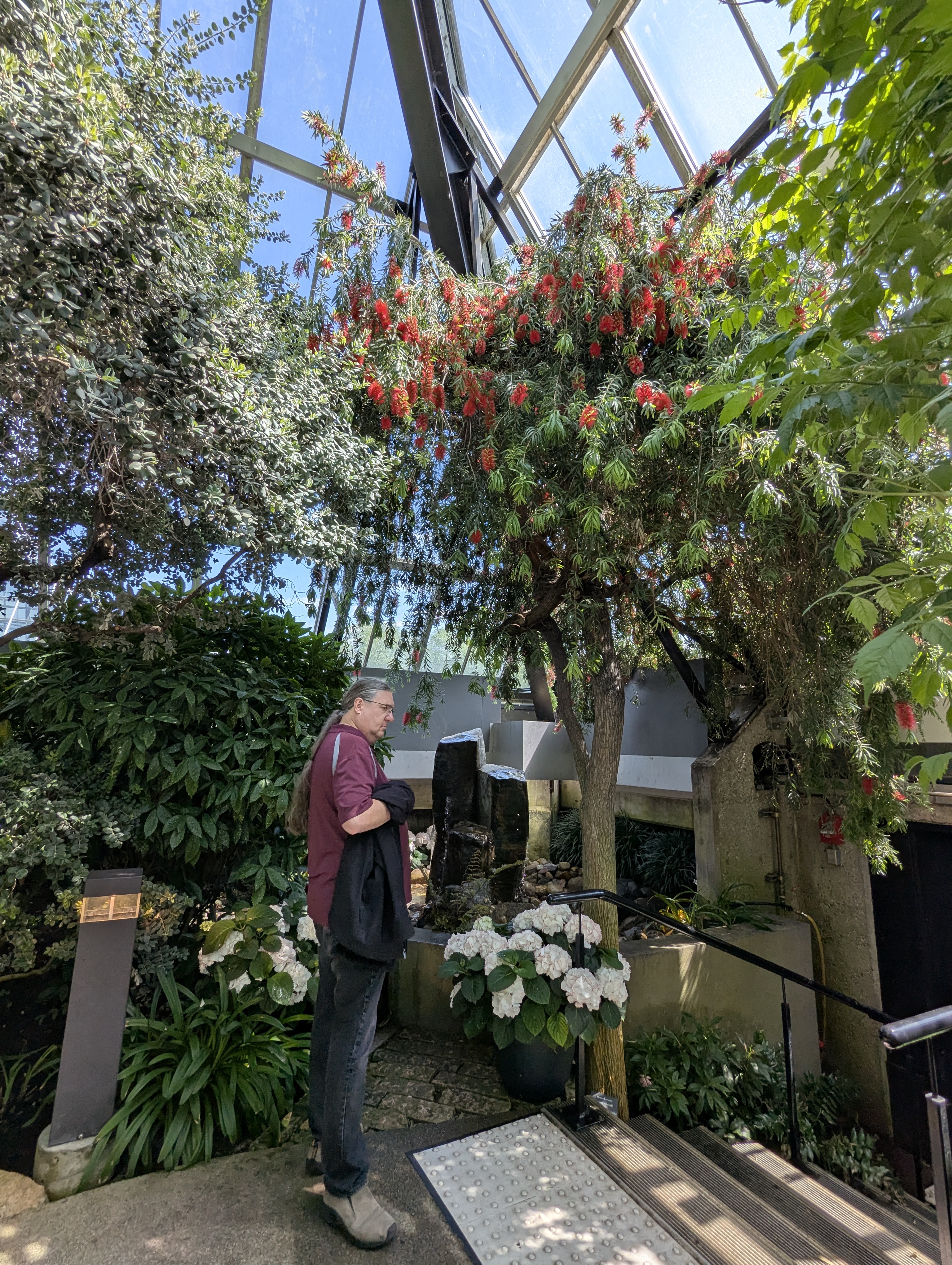 Birthday Trip to Canada, Edmonton, Pyramids, Muttart Observatory, Michael Sanders